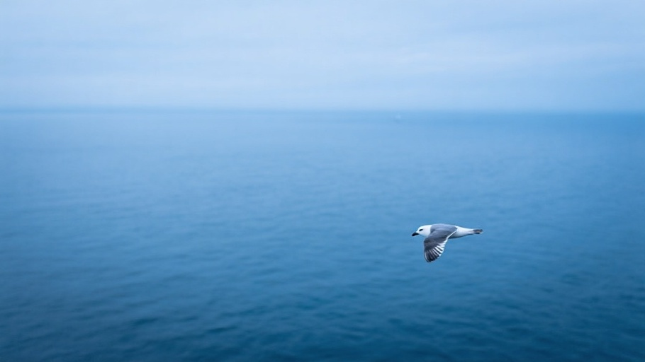 Fulmar (Northern) in natural habitat